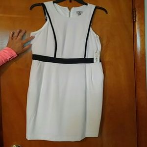 Womens Classy Dress
